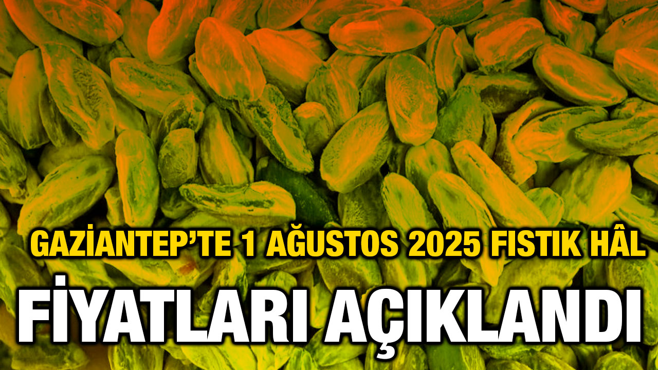 Gaziantep’te 1 Ağustos 2025 Fıstık Hâl Fiyatları Açıklandı