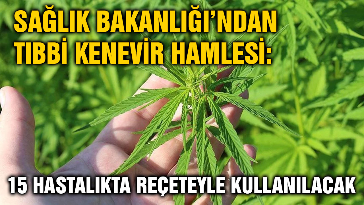 Sağlık Bakanlığı’ndan Tıbbi Kenevir Hamlesi: 15 Hastalıkta Reçeteyle Kullanılacak