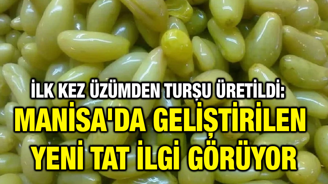 İlk Kez Üzümden Turşu Üretildi: Manisa'da Geliştirilen Yeni Tat İlgi Görüyor