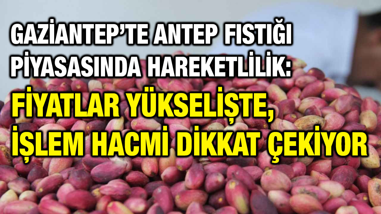 Gaziantep’te Antep Fıstığı Piyasasında Hareketlilik: Fiyatlar Yükselişte, İşlem Hacmi Dikkat Çekiyor