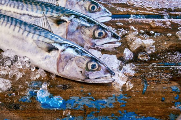 Kolyoz Balığı Nedir? Nasıl Pişirilir?