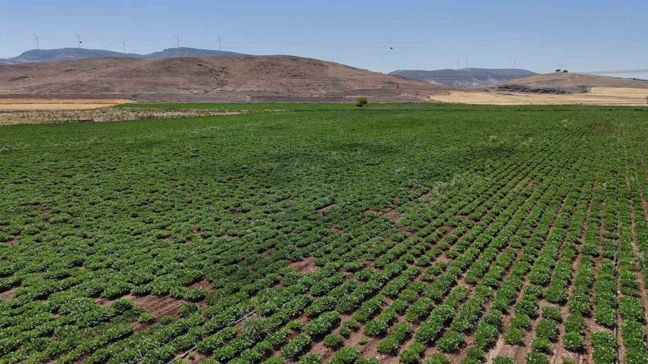 Gaziantep'te Tarımda Devrim Projesi: Çiftçilere Bedava Akıllı Sulama Desteği!