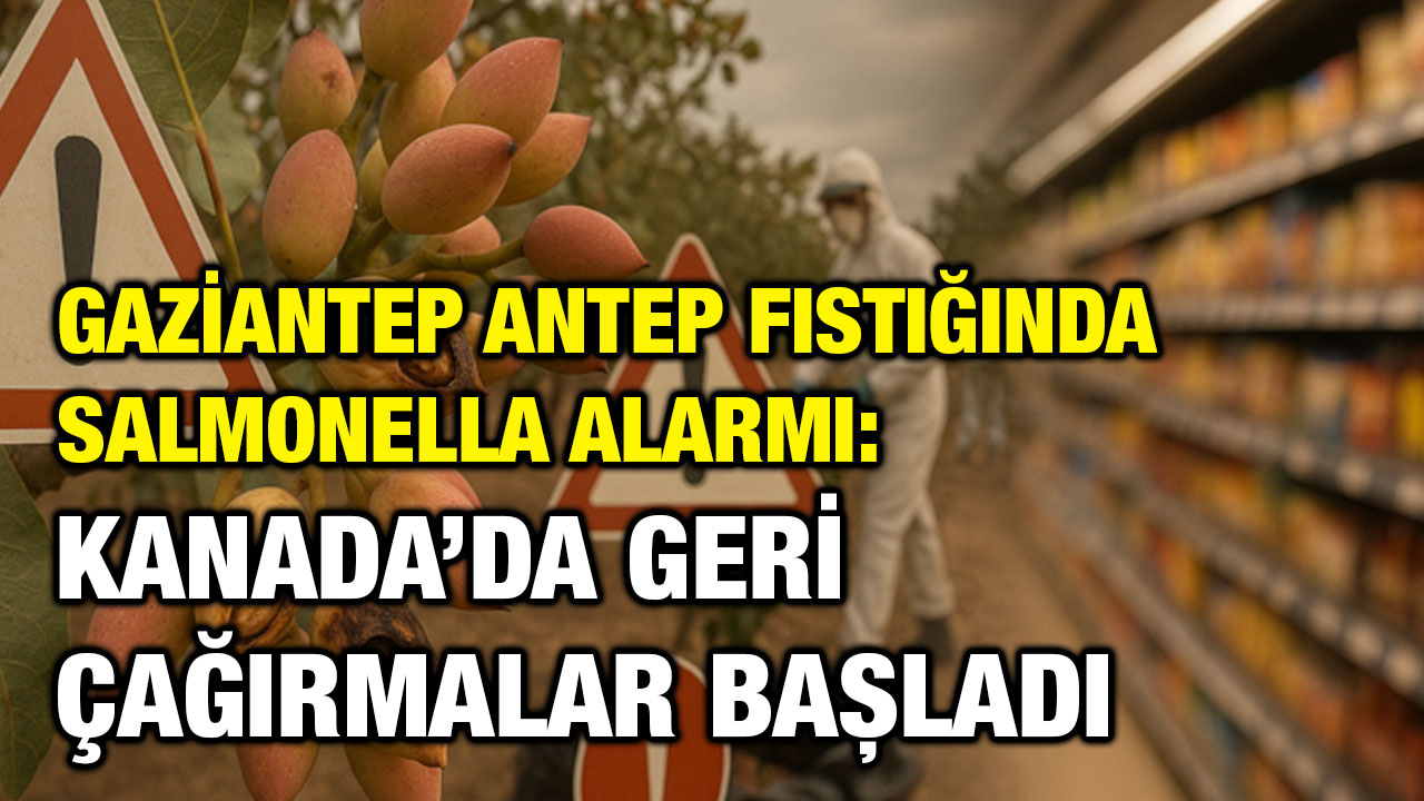 Gaziantep Antep Fıstığında Salmonella Alarmı: Kanada’da Geri Çağırmalar Başladı