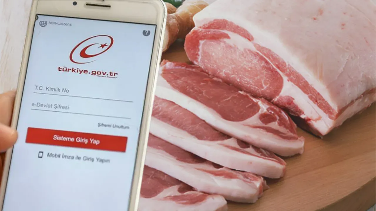 e-Devlet’te Yeni Dönem: Gaziantep'te Hileli Gıda Listesine Anında Erişim