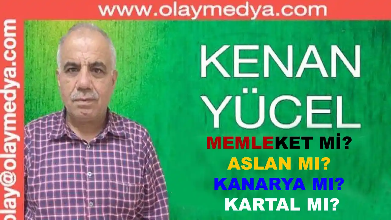 Kenan Yücel Yazıyor: 'Memleket mi...? Aslan mı, Kanarya mı, Kartal mı?'