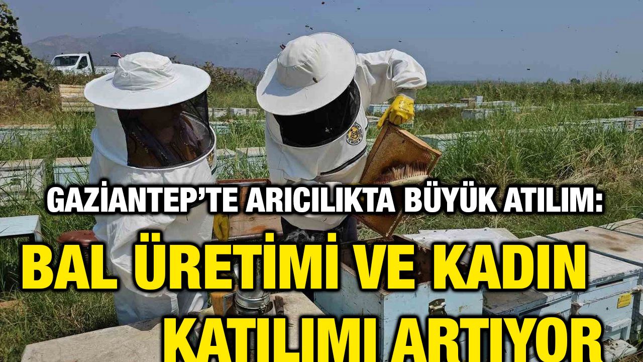 Gaziantep’te Arıcılıkta Büyük Atılım: Bal Üretimi ve Kadın Katılımı Artıyor