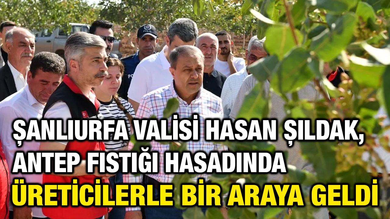 Şanlıurfa Valisi Hasan Şıldak, Antep Fıstığı Hasadında Üreticilerle Bir Araya Geldi