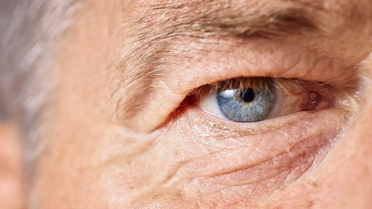 Yaşlanmanın Ciltte Yarattığı Fiziksel Değişim: Kırışıklıkların Bilimsel Sebebi Açığa Çıkarıldı