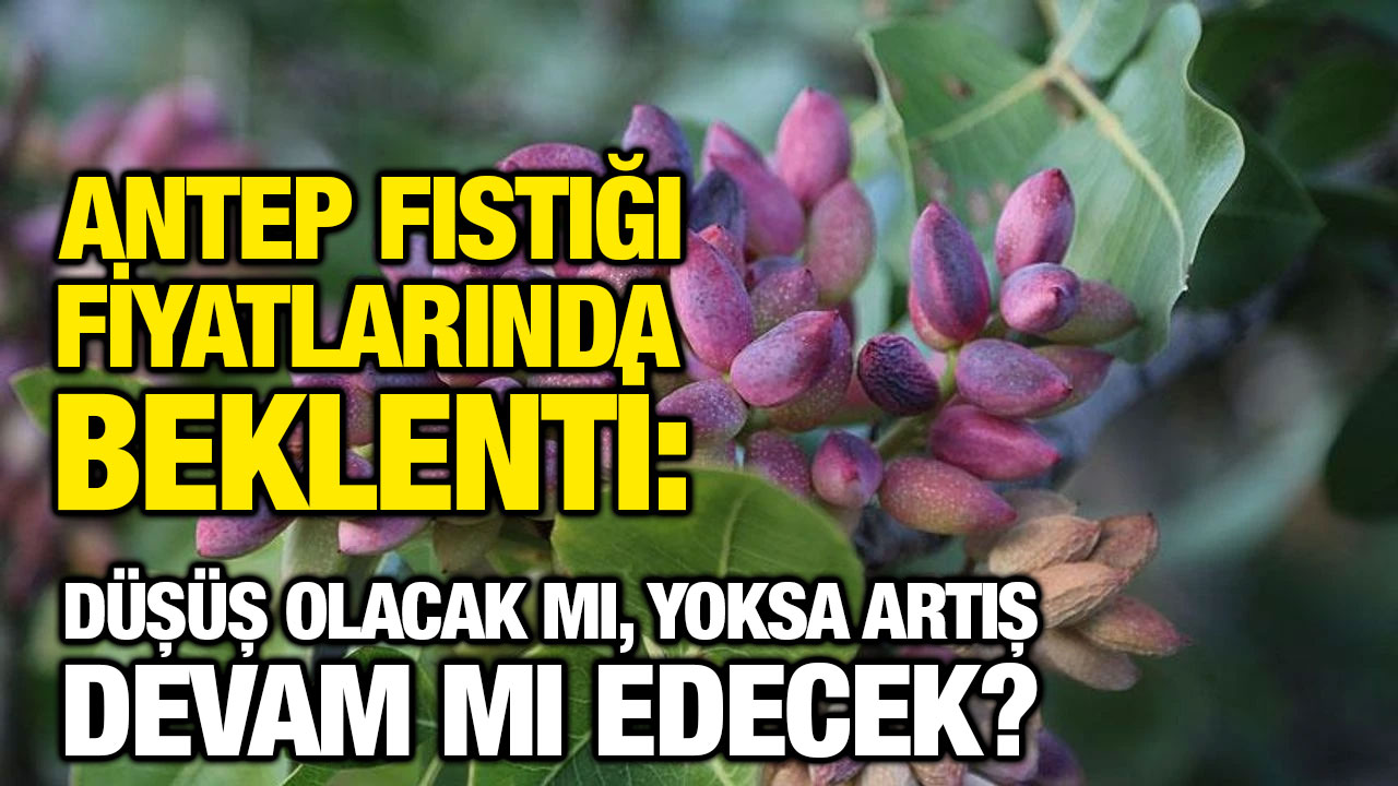 Antep Fıstığı Fiyatlarında Beklenti: Düşüş Olacak mı, Yoksa Artış Devam mı Edecek?