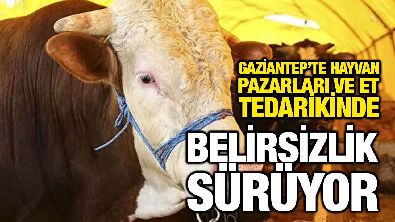 Gaziantep’te Hayvan Pazarları ve Et Tedarikinde Belirsizlik Sürüyor