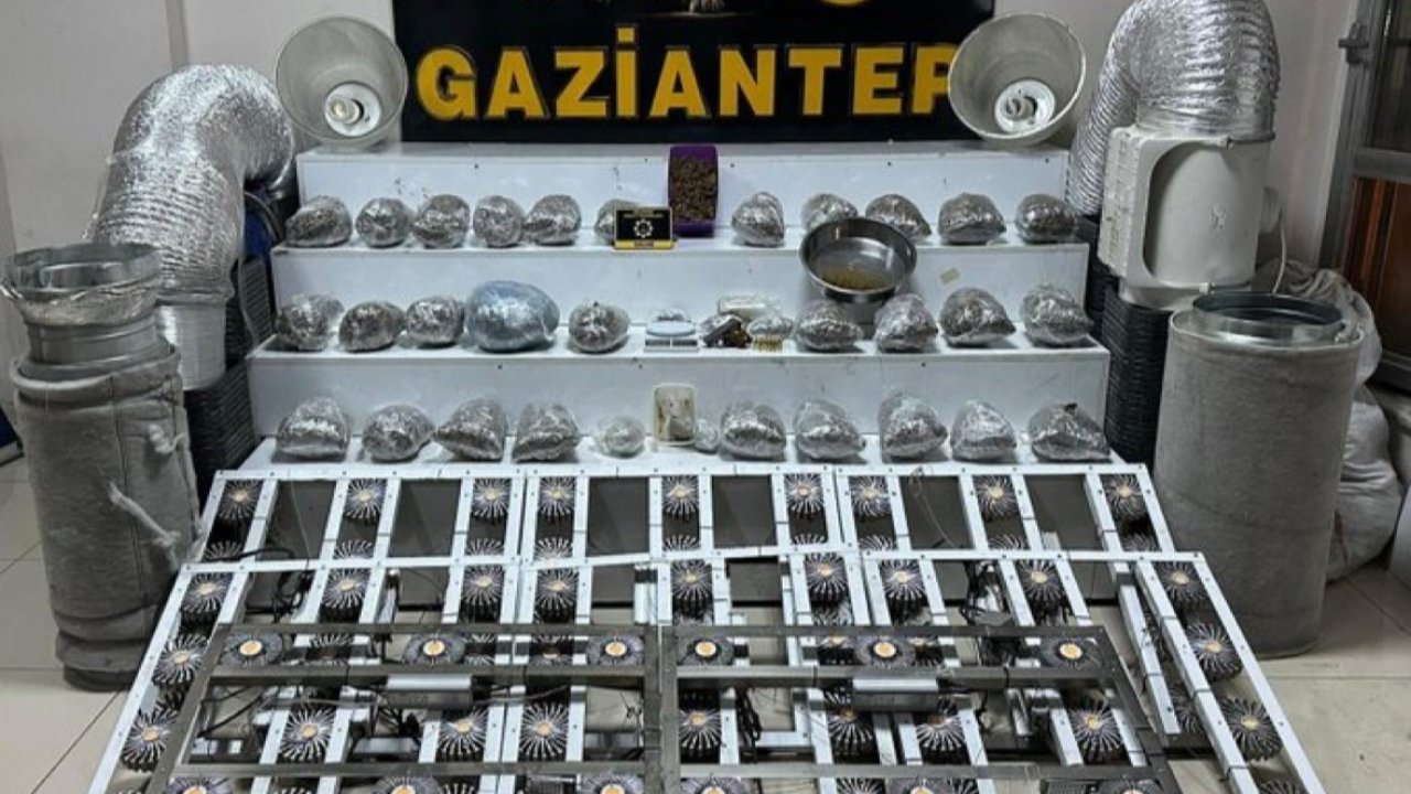 Gaziantep’te 32 kilo skunk ele geçirildi