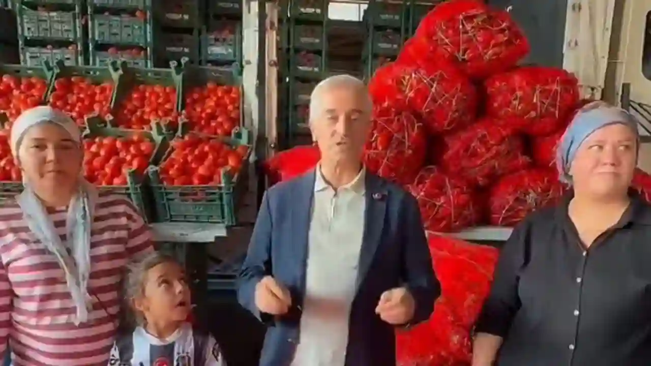 Tahmazoğlu’ndan Müjde! Gaziantep’te Tarla Fiyatına Sebze-Meyve Dönemi