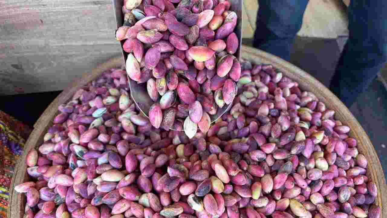 GTB'den Antep Fıstığı Fiyatlarıyla İlgili Önemli Açıklama