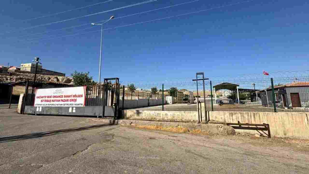 Gaziantep’te Hayvan Pazarı Belirsizliği Sürüyor! 38 İlde Açıldı, Gaziantep Listede Yok