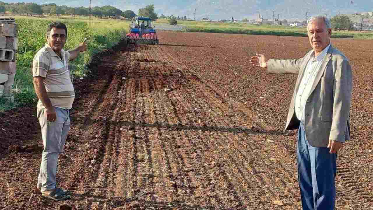 Araban Ovası’nda tecilli Araban sarımsağı ekimine başladı