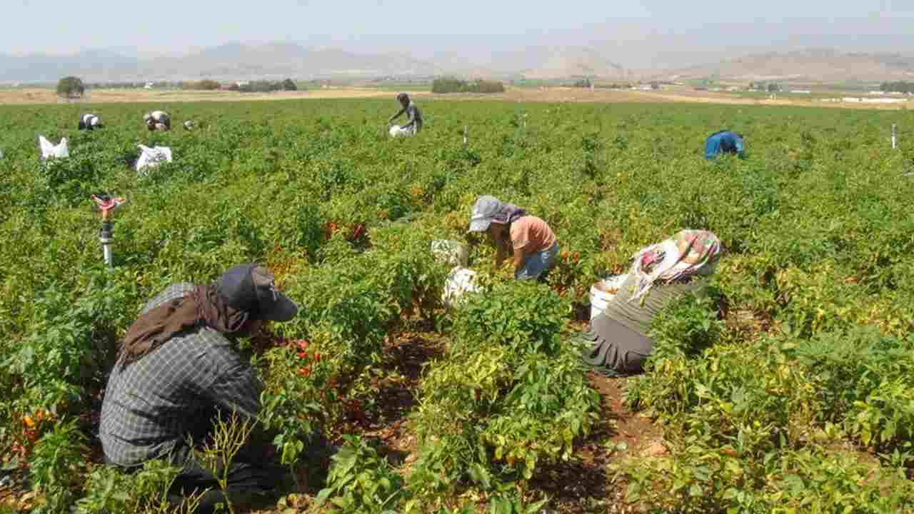 Gaziantep'te "acı" mesaisi başladı