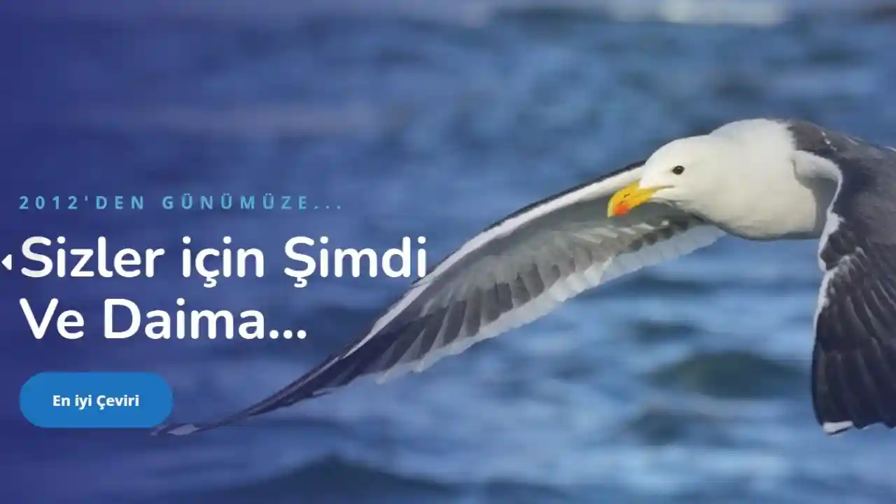 Fransızca Türkçe Çeviri ve Farsça Türkçe Çeviri