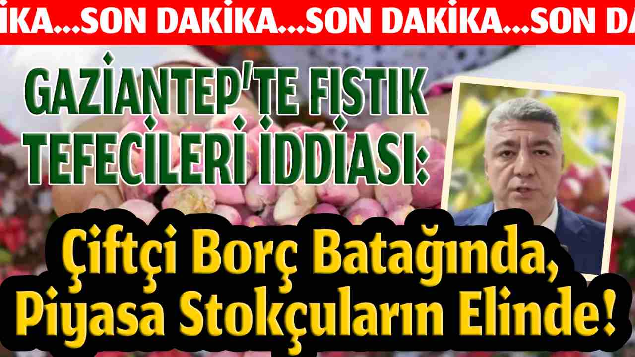 Antep Fıstığı'nda Büyük Oyun! Kim Bu Tefeciler?