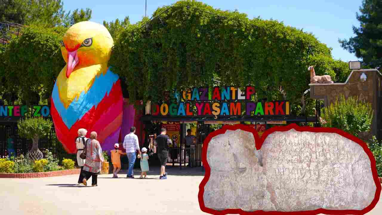 İsrail'den Gaziantep Hayvanat Bahçesi İçin Tuhaf Teklif!