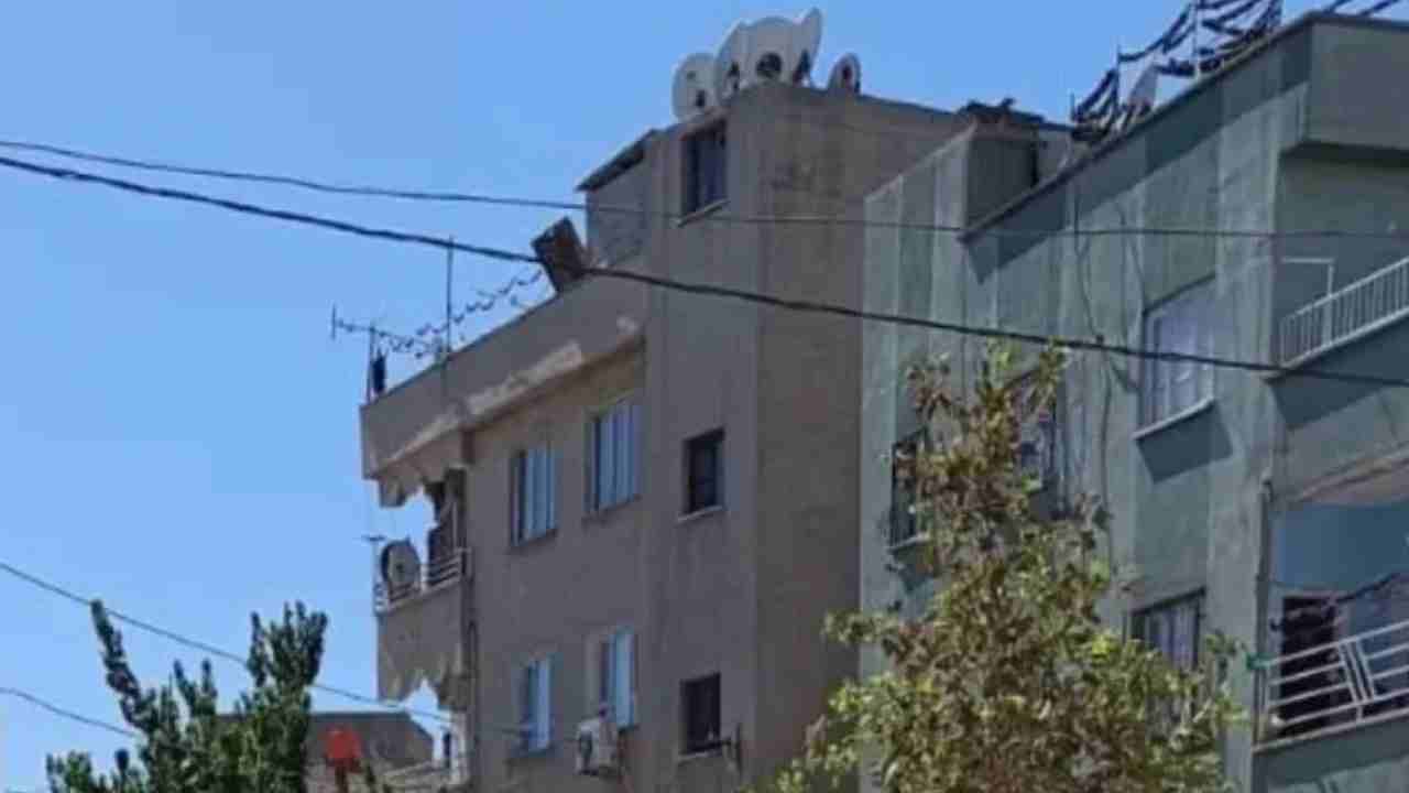 Gaziantep’te “Ölü Kuş” Tartışması Bıçaklı Kavgaya Dönüştü