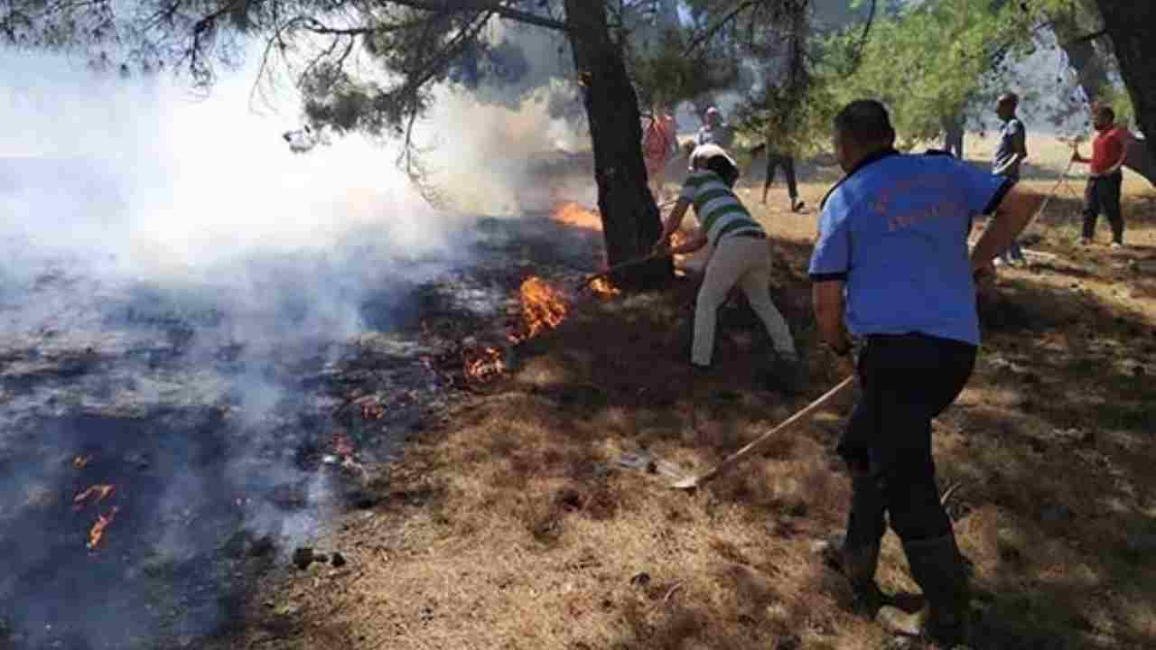 Gaziantep’te Orman Yangını! Havadan ve Karadan Müdahale Ediliyor