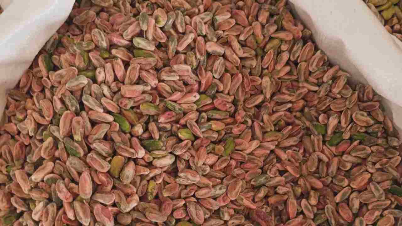 Gaziantep’te Antep Fıstığı Fiyatları Açıklandı: 25 Eylül 2025 antep fıstığı fiyat listesi