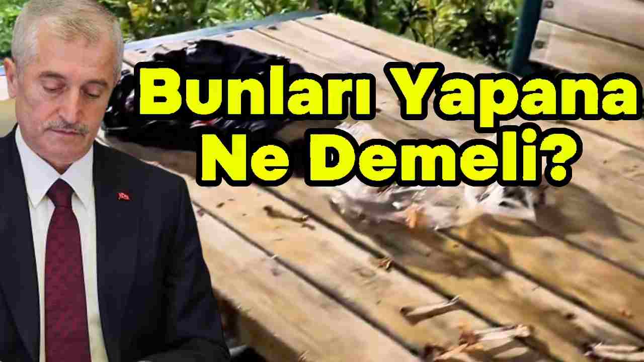 Tahmazoğlu’ndan  Sert Uyarı: 'Bunları Yapanlara Ne Demeli'