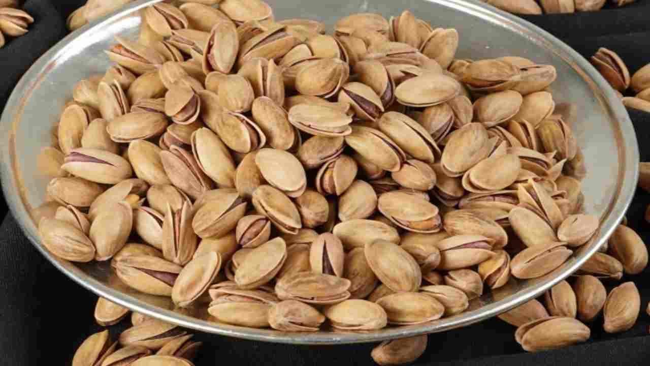 Antep Fıstığı Fiyatları Uçuyor! 13 Ekim 2025 Antep Fıstığı Fiyatları