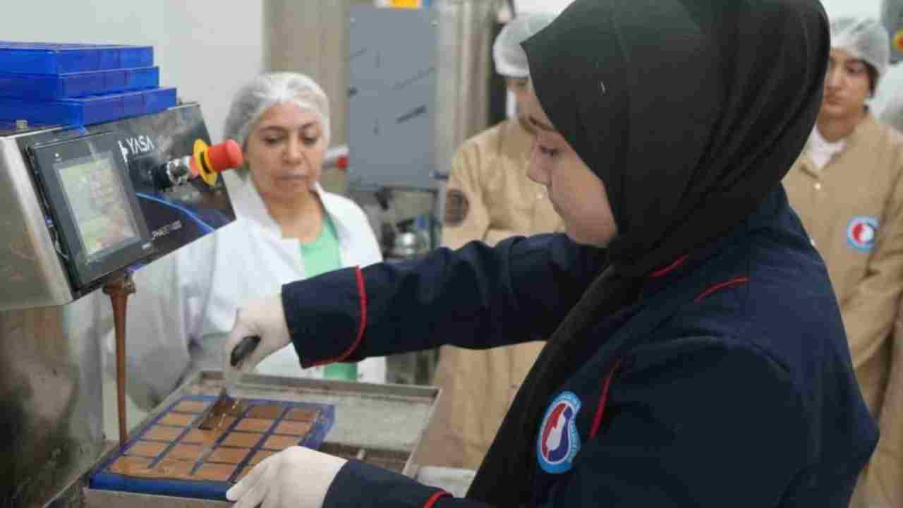 Gaziantep'te yılda 3 milyon TL gelir! Fabrika gibi çalışıyor, öğrenip para kazanıyorlar
