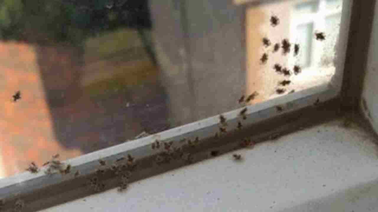 Gaziantep’i Kâbus Sardı! Pencere Açmak İmkânsız Hale Geldi