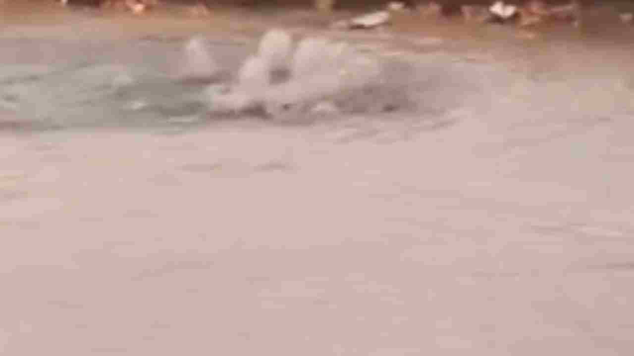 Gaziantep'te Vatandaşlardan Acil Müdahale Çağrısı — “Bir Kaza Yaşanmadan Önlem Alınsın”