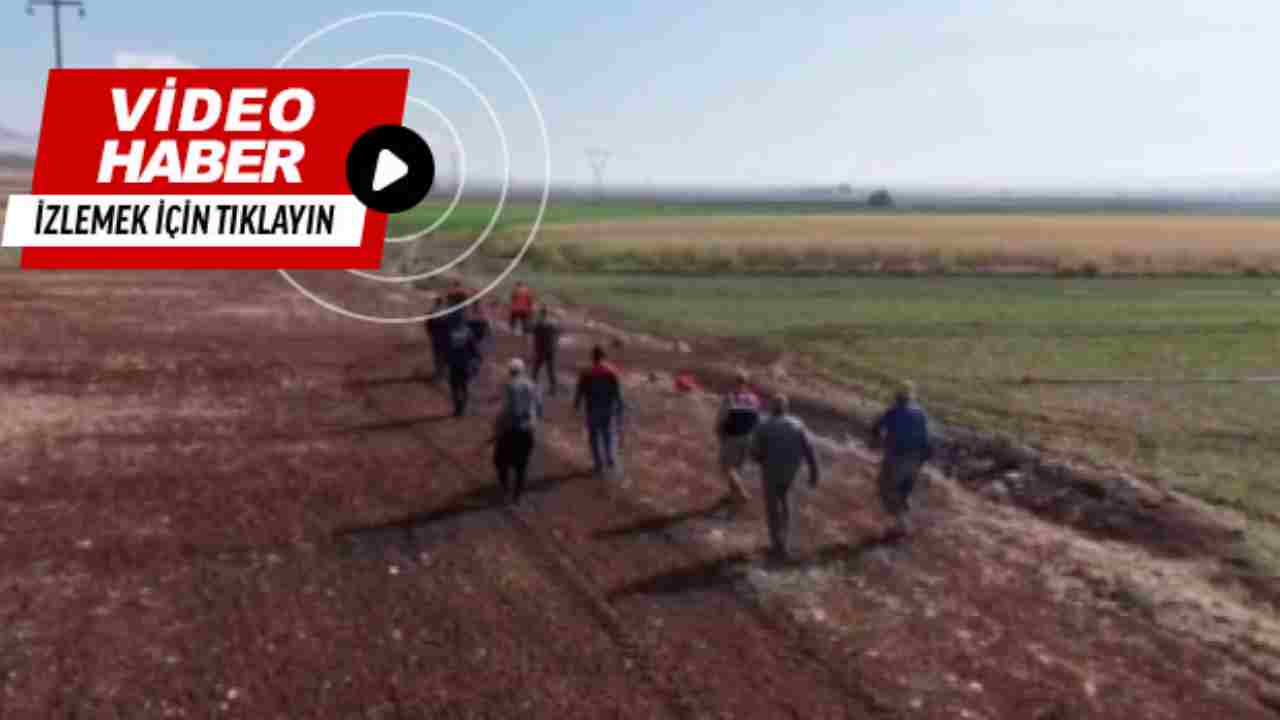 Gaziantep'te Domuz Avı