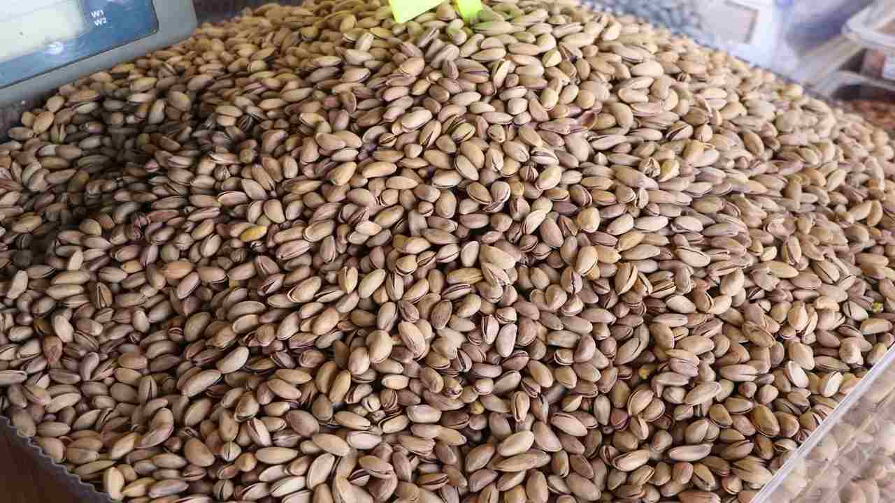 Gaziantep’te Fıstık Altınla Yarışıyor: Kilosu 2.000 TL’ye Dayandı!