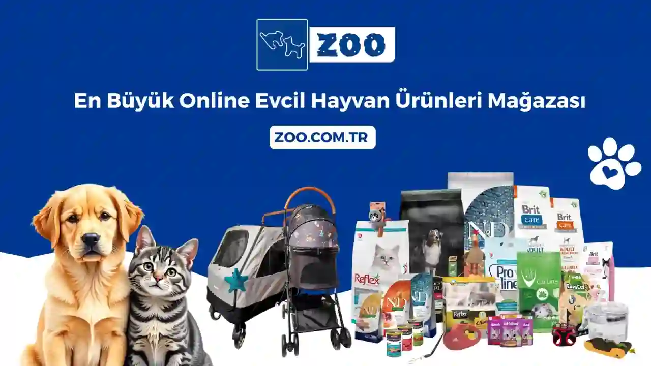 Evcil Dostlarınız İçin En Kaliteli Seçimler ZOO’da
