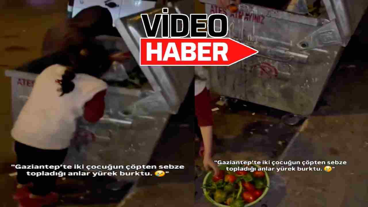Gaziantep’te 2 Çocuğun Çöpten Sebze Topladığı Anlar! Gaziantep'ten Ağlatan Video