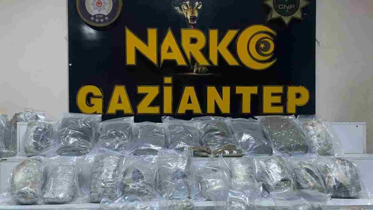 Gaziantep’te 13 kilo skunk ele geçirildi