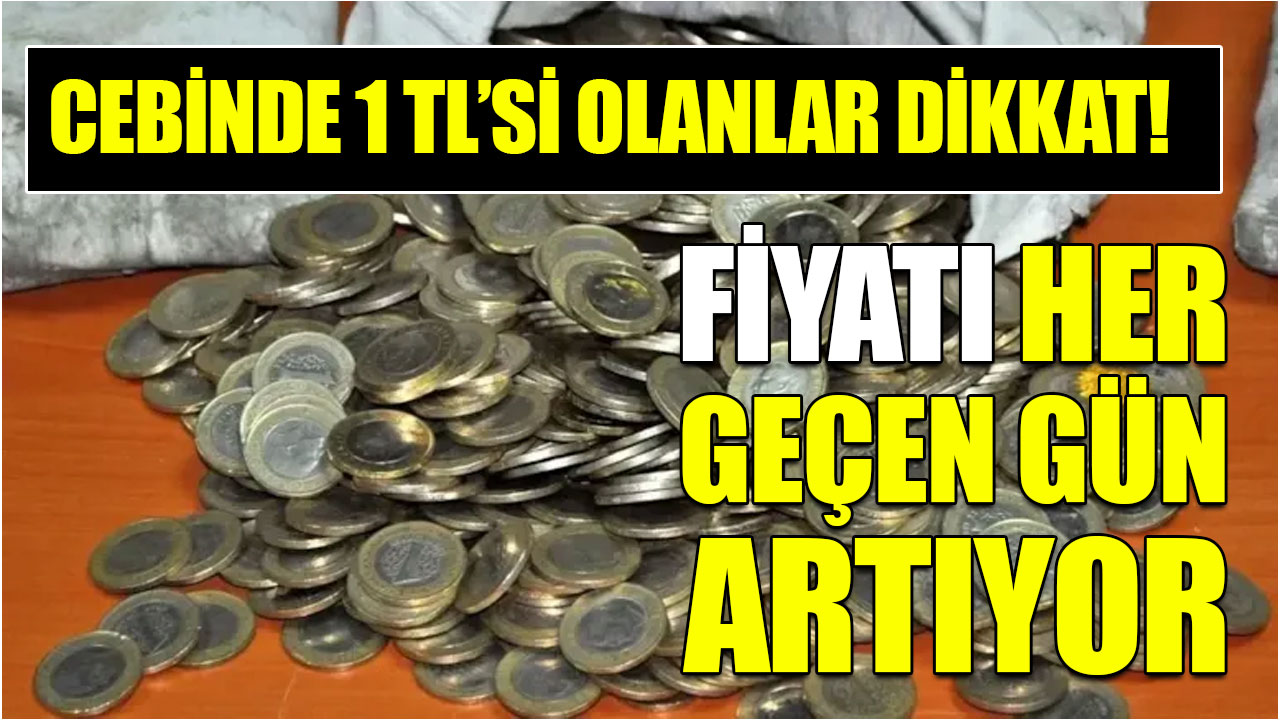 Cebinde 1 TL’si Olanlar Dikkat! Fiyatı Her Geçen Gün Artıyor
