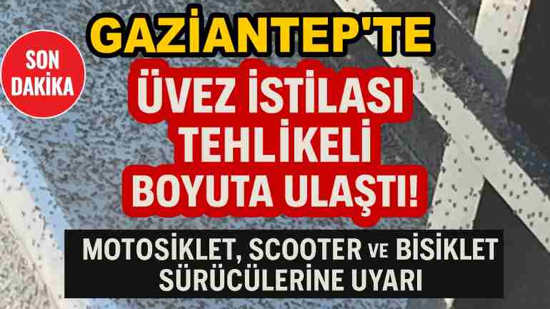 Gaziantep'te Üvez İstilası İle Baş Edilemiyor! Motosiklet, Scooter ve Bisiklet Sürücülerine Uyarı!