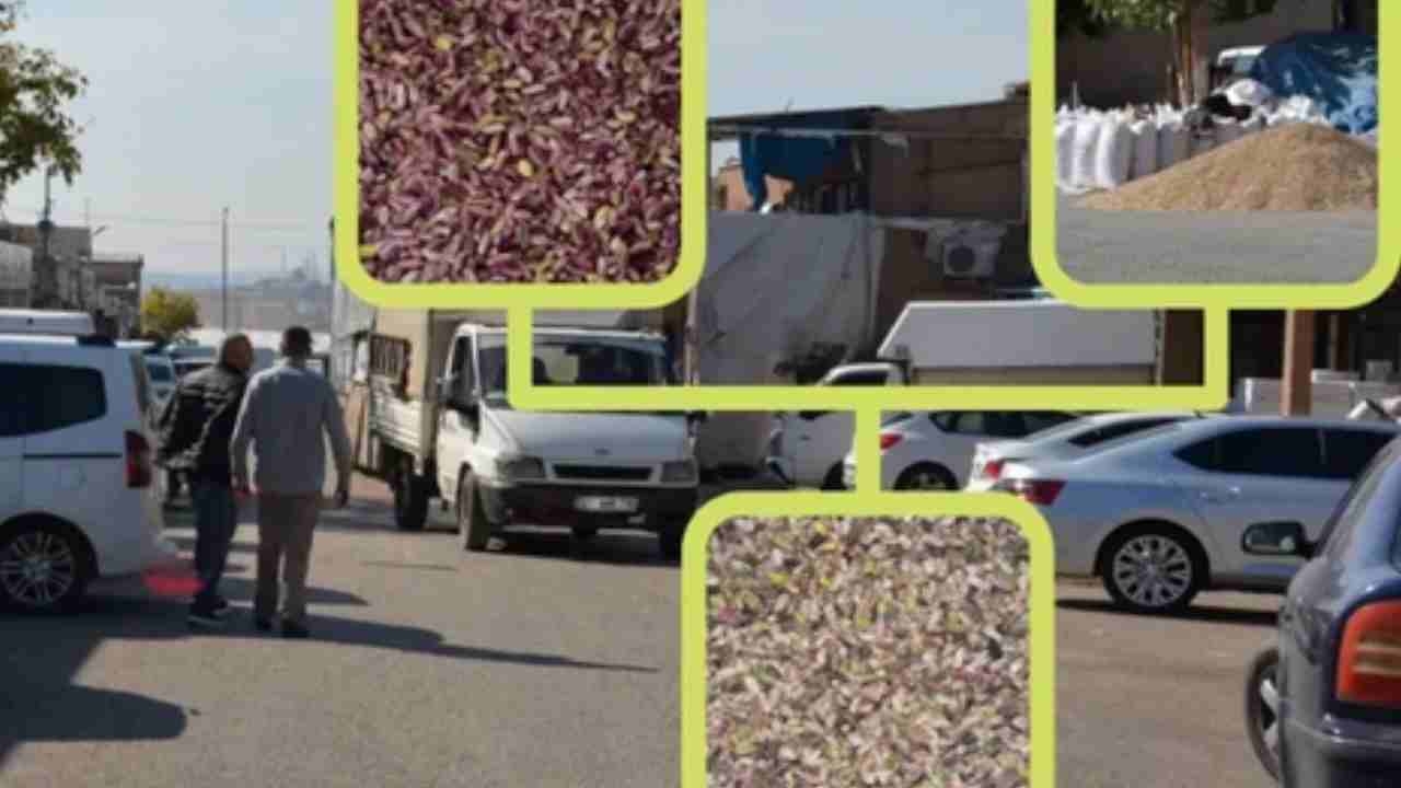 Gaziantep'te Büyük Oyun! Gaziantep'te 200 TL'lik Fıstık 2 Bin TL Nasıl Oluyor?