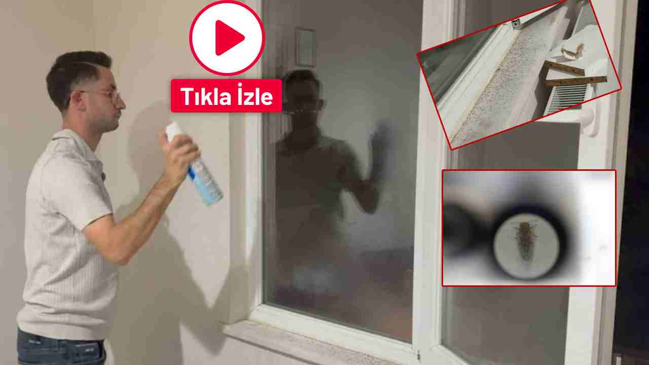 Gaziantep’te Üvez İstilası! Flaş Açıklamalar