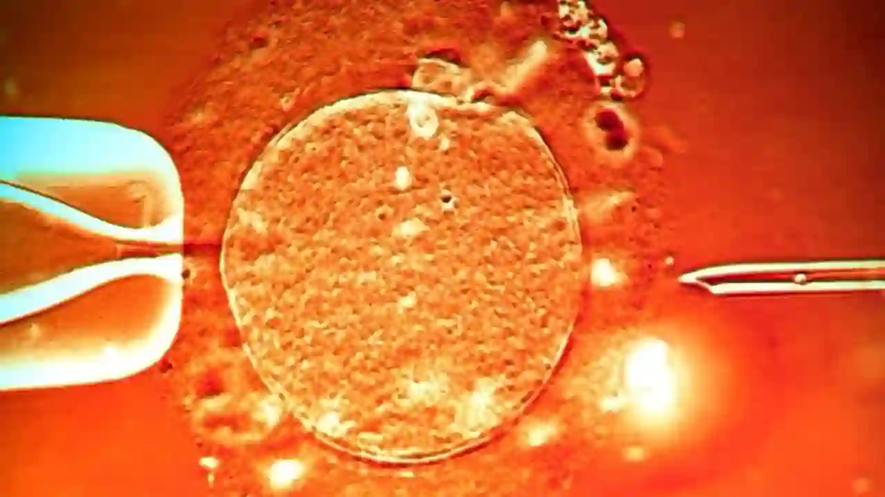 Üreme Sağlığını Korumak İçin Bilinmesi Gerekenler