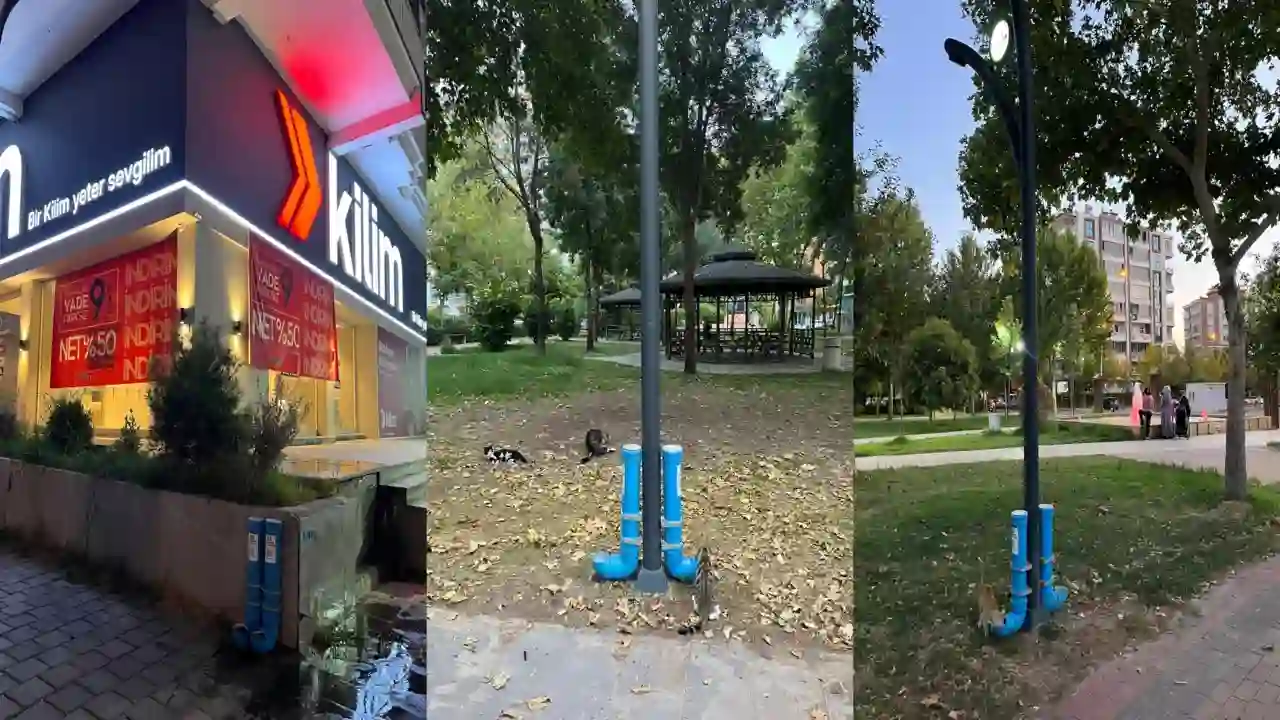 Merhamet Yolu Derneği Gönüllüleri, Sokak Hayvanlarını Unutmadı!