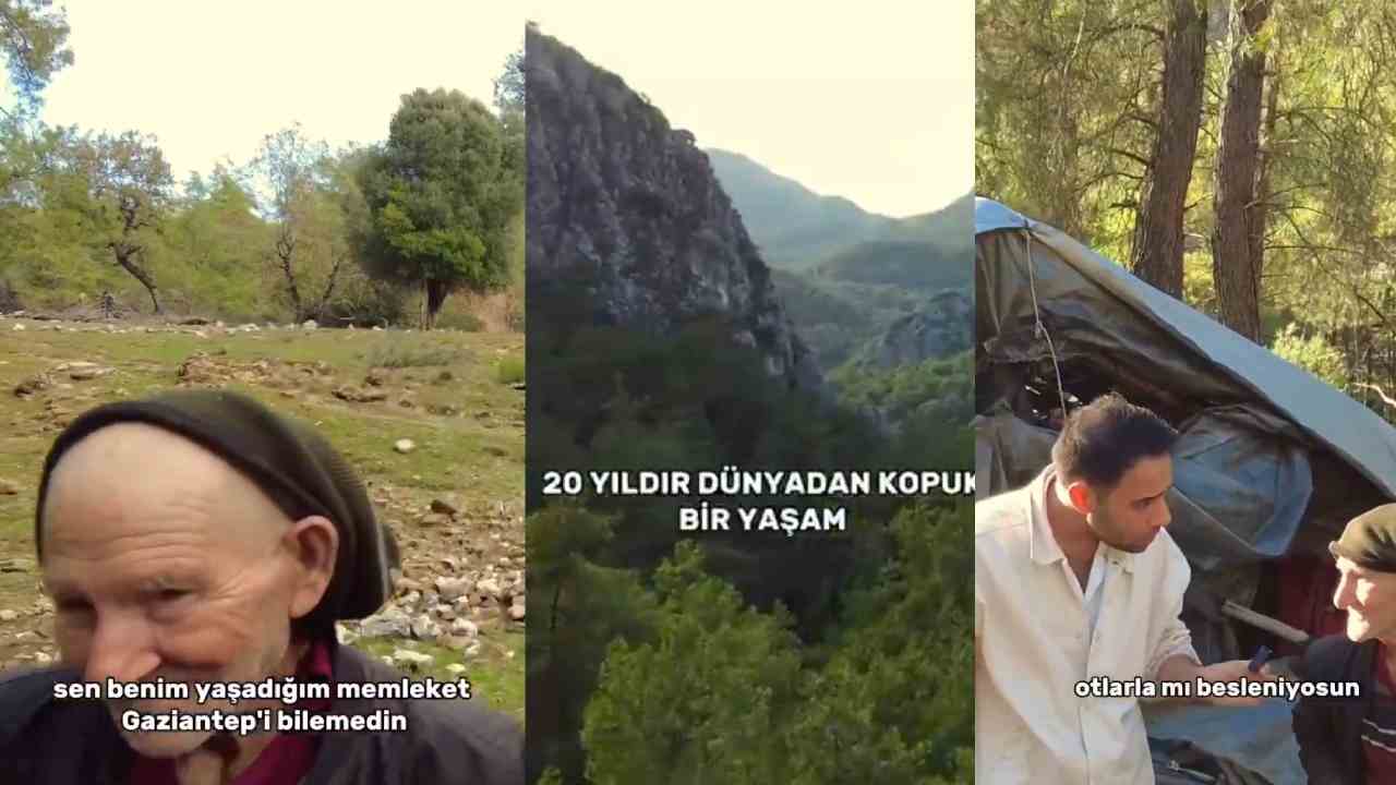 20 Yıldır Dağda Yaşıyor: “Cumhurbaşkanı Kim Bilmiyorum… Gaziantep Neresi?”