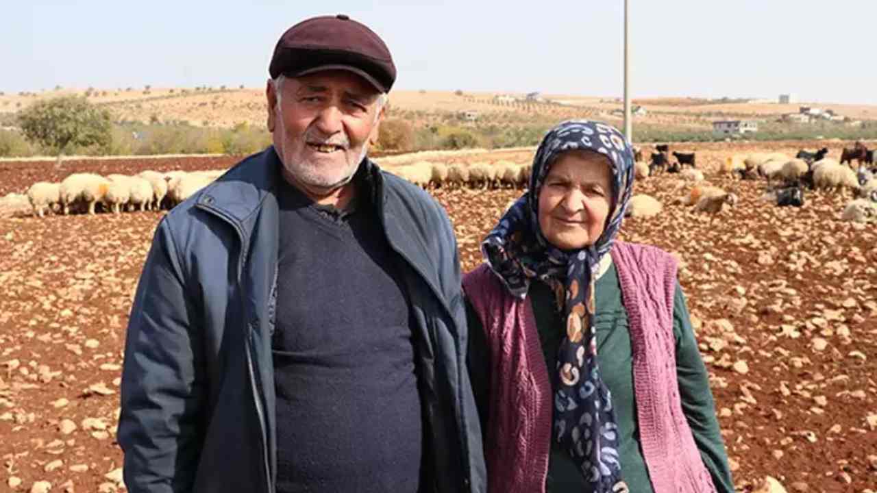 Gaziantep’te 63 Yaşında Hayata Yeni Başlangıç! Gürsel Çifti Bir Günde Üretimi İkiye Katladı