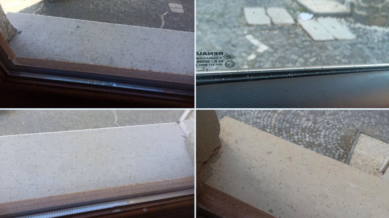 Gaziantep İşgal Altında! Yetkililerden 'ÇIT SES' Yok