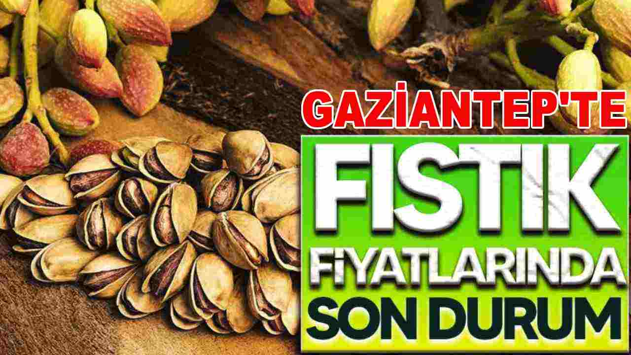 Antep Fıstığı Fiyatları Uçuyor! 24 Kasım 2025 Antep Fıstığı Fiyatları