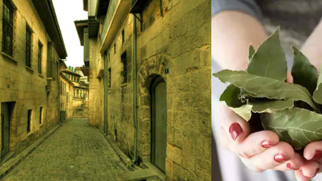 Gaziantep’te Evlerde Yeni Akım! Kimyasal Sprey Yok, Elektrik Yok – Sadece Bitkiler!