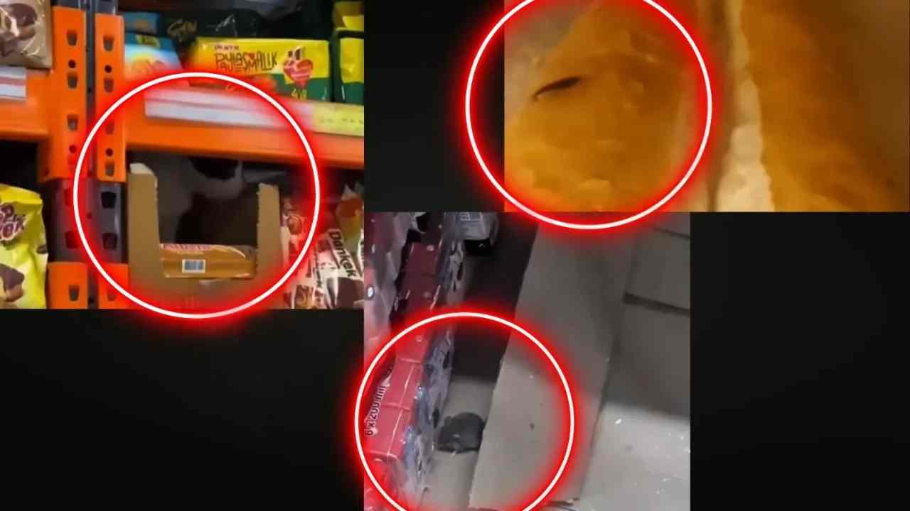 Gaziantep'te Zincir Marketlerde Rezalet! Böcek, Fare ve Kedi Skandalı!