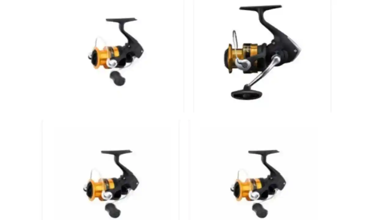 Shimano Olta Makineleri ve Kamışları En Çok Tercih Edilen Modeller