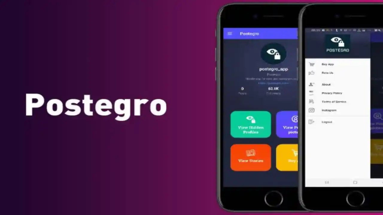 Başarının Formülü: Instagram Gizlilik Hesap Görme ile Analitik Avantaj
